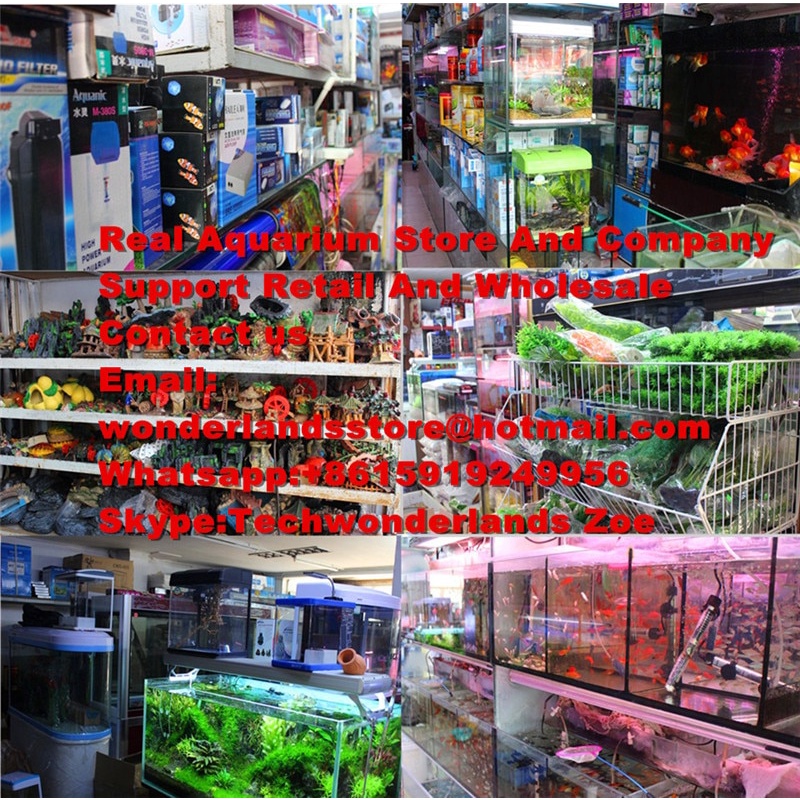 Fish Aquarium Medication Broadspectrum Regular Drug Basic Health Care