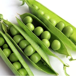 เมล็ดพันธุ์ ถั่วหวาน, ถั่วลันเตาหวาน Sugar Daddy Snap Pea Seed บรรจุ 25 เมล็ด คุณภาพดี ของแท้ 100%