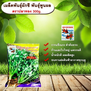 ผักชี พูนผล 300 g. ตราปลาทอง allaboutplants