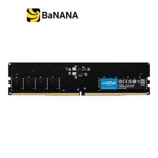 แรมพีซี Crucial Ram PC DDR5 16 - 64GB /4800MHz.CL40 UDIMM Green by Banana IT