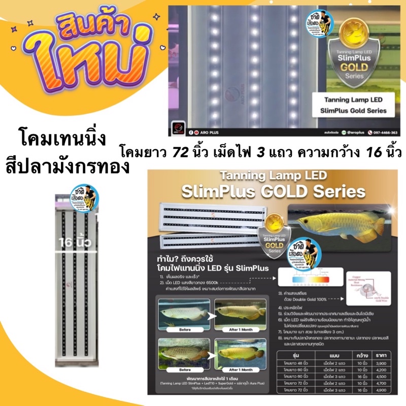 โคมเทนนิ่งสีปลามังกรทอง Tanning Lamp LED SlimPlus GOLD Series By AROPLUSโคมยาว 72 นิ้ว เม็ดไฟ 3 แถว 