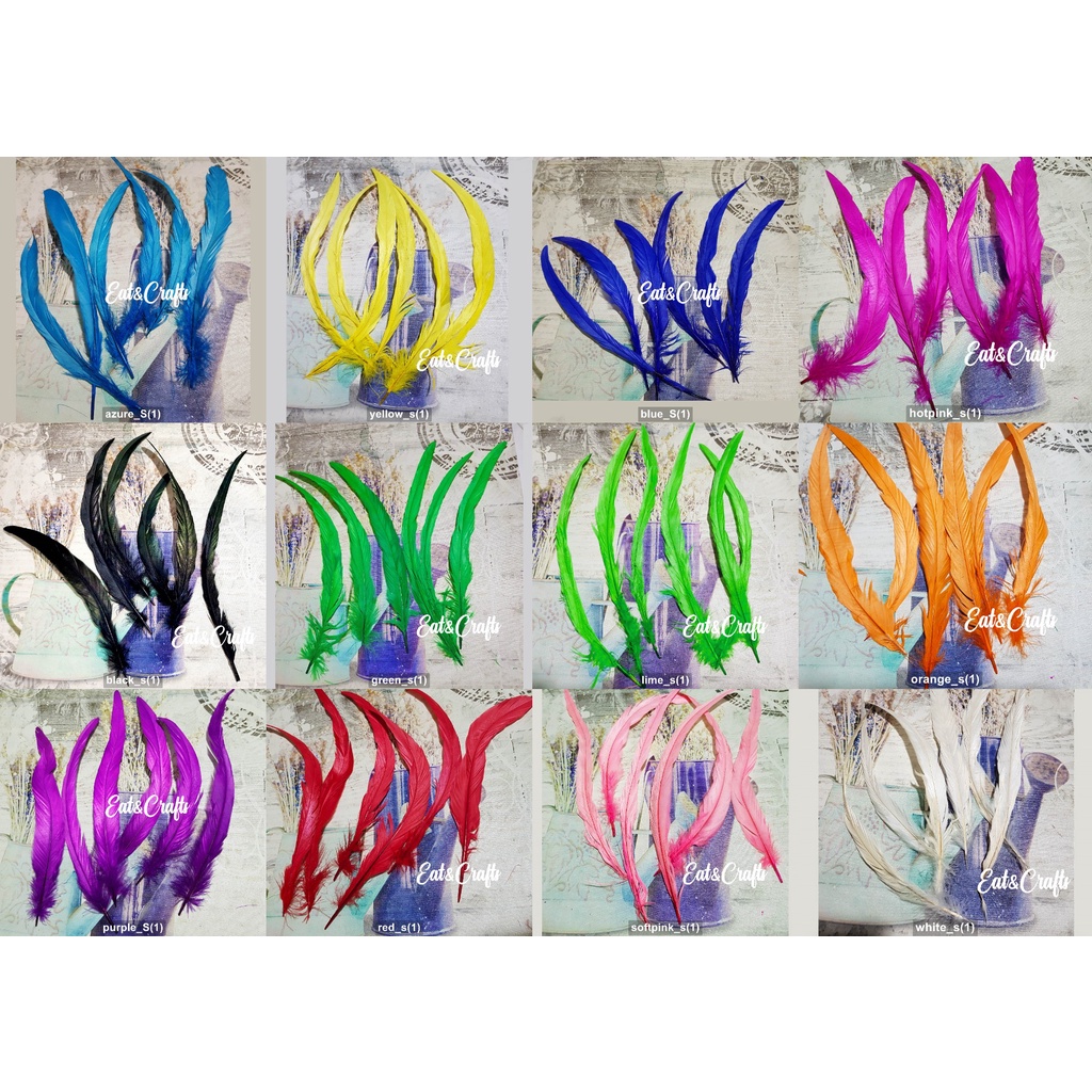 ขนไก่โต้ง สั้น 9 ก้าน มีหลายสี (พร้อมส่ง) เส้นขน ขนนก ขนไก่ แบ่งขาย  ขนาดเล็ก ยาว10-12 นิ้ว Rooster Coque Tail Feather ราคา ถูกที่สุด ดีลบีเคเค แกลเลอรีภาพที่ 2