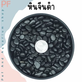 หินจีนสีดำ ตกแต่งตู้ปลา โรยหน้ากระถางต้นไม้