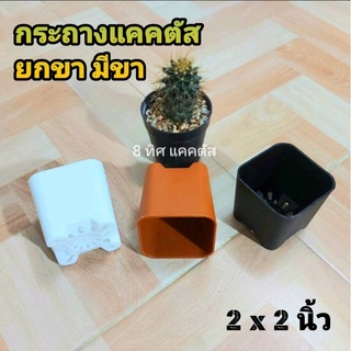 กระถาง สี่เหลี่ยมมีขา 2 นิ้ว // กด 12 ใบ 25 บาท -- 2 นิ้ว -- กระถางยกขา แคคตัส กระบองเพชร พลาสติก