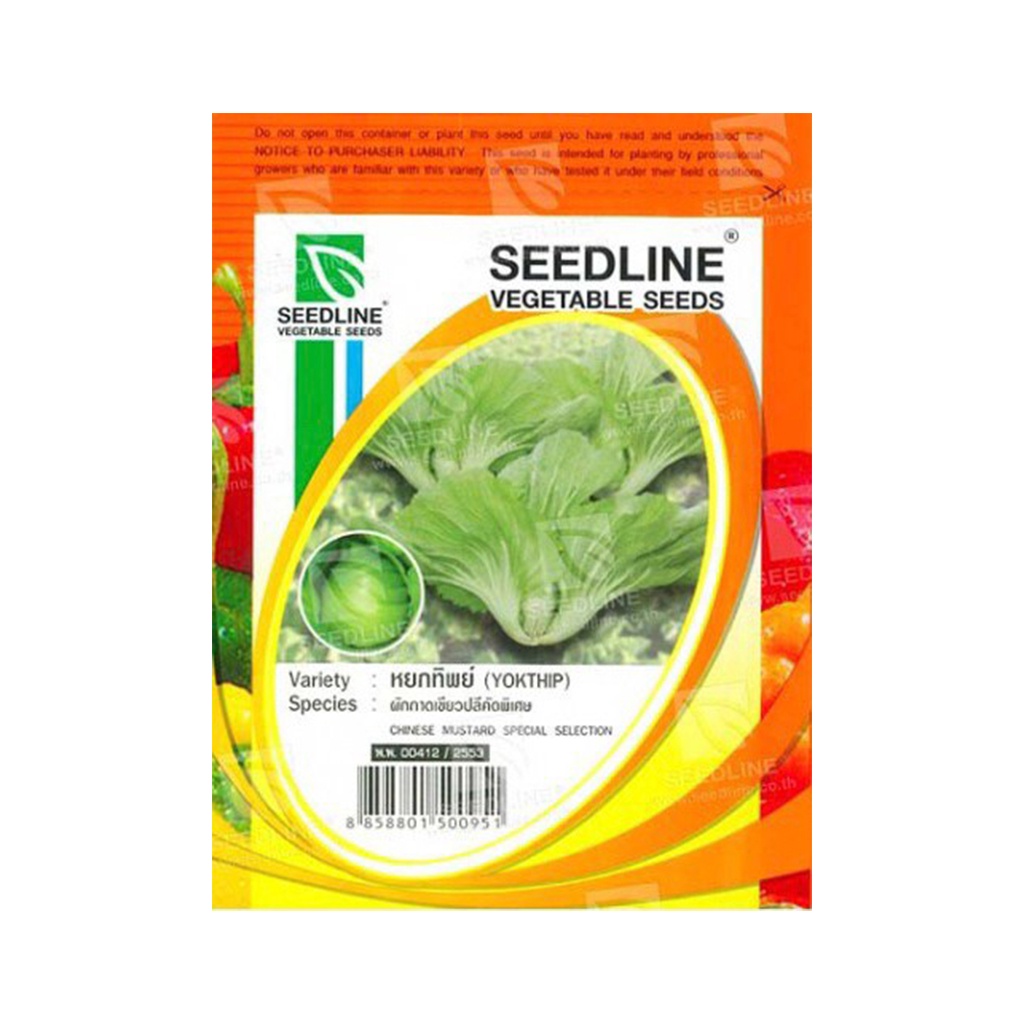 (พร้อมส่ง) SEEDLINE - เมล็ดผักกาดเขียวปลีคัดพิเศษ (หยกทิพย์)