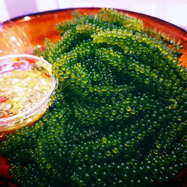 สาหร่ายพวงองุ่น greencaviar พร้อมน้ำจิ้มซีฟู้ด ส่งฟรี Kerry