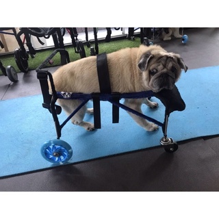 วีลแชร์สุนัข โครงสแตนเลส ขนาดไซส์ MS สัตว์เลี้ยง รถเข็น wheelchair dog **ติดต่อร้านค้าก่อนสั่งซื้อ**โดยสัตวแพทย์