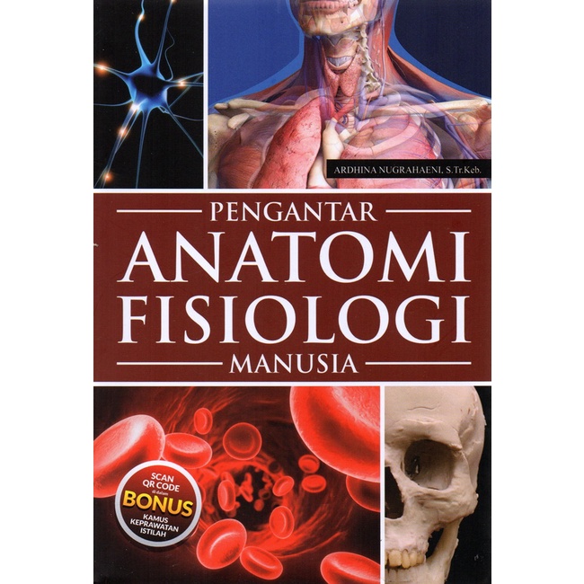 Gramedia Medan - INTRODUCTION TO HUMAN PHYSIOLOGY ANATOMY