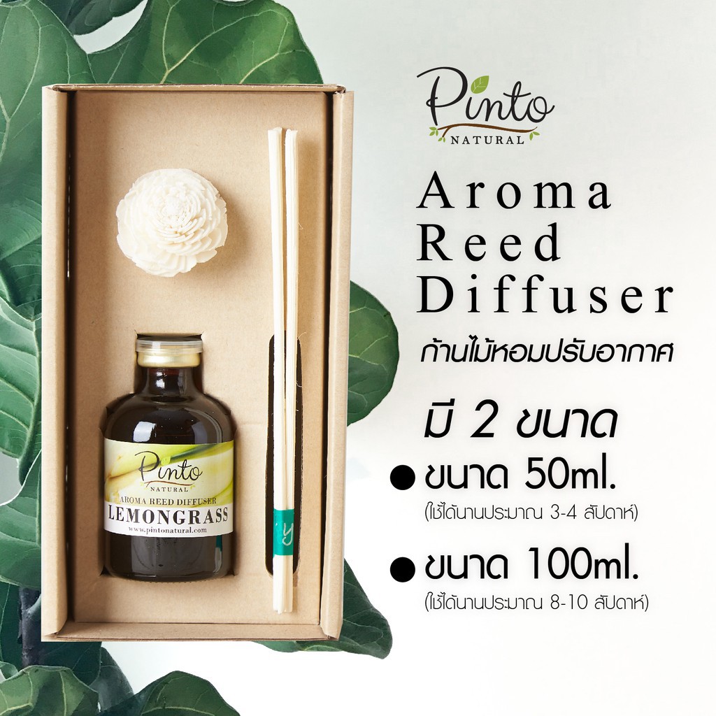 Pinto Natural ก้านไม้หอมปรับอากาศ 50ml  Aroma Reed Diffuser มี 26 กลิ่นให้เลือก (มีกลิ่นใหม่) ก้านไม