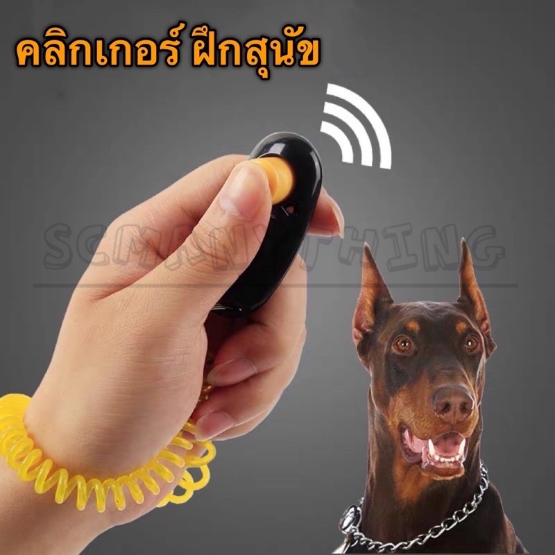 Dog Training Clicker คลิกเกอร์ ฝึกสุนัข อุปกรณ์ฝึกสุนัข หมา พร้อมสายรัดข้อมือ
