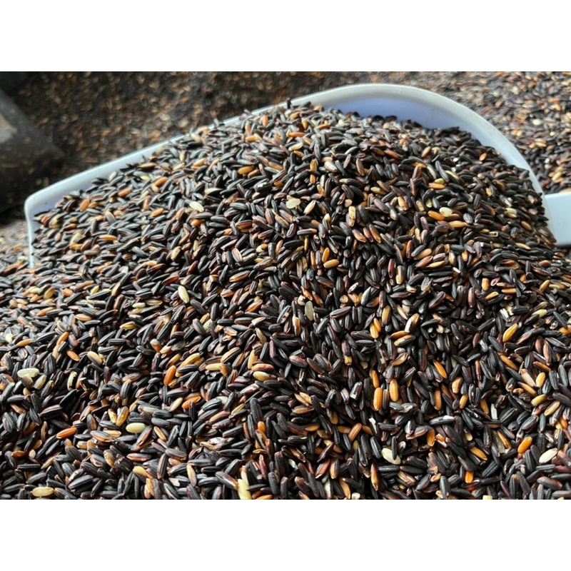 รูปภาพ 4