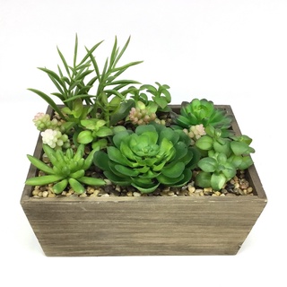 OrientalFineArt สวนจิ๋ว ในกระถางไม้ Succulent plant จัดด้วยกุหลาบหิน พืชอวบน้ำปลอม สวยเหมือนจริง(T16-TXC-61205-N)