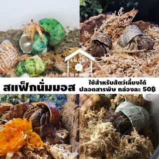 สแฟ็กนั่มมอส เลี้ยงปูเสฉวน ตู้สัตว์เลี้ยง Vivariums สะอาดปลอดสารพิษ กล่องละ 50฿