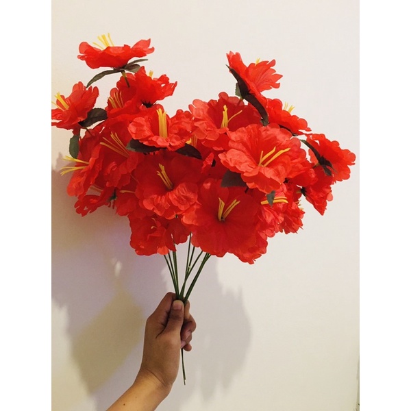 ดอกชบา 🌺ดอกชบาสีแดง 1กำ10ช่อใหญ่ราคาถูก
