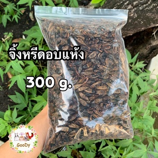 จิ้งหรีดอบแห้ง 300 กรัม/g. Dried Cricket