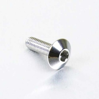 Pro-Bolt สแตนเลส หัวโดม M5x16mm (ราคา/ตัว)