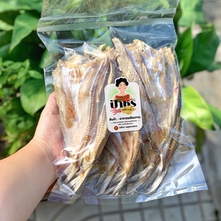 ปลาช่อน ปลาช่อนทะเล ปลาจิ๊กโก๋ ปลาตัดหัว (พร้อมส่ง) สดใหม่