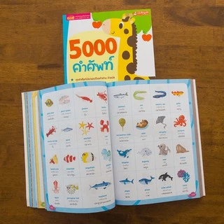 MISBOOK หนังสือสอนลูกเรียนรู้คำศัพท์ 5000 คำศัพท์