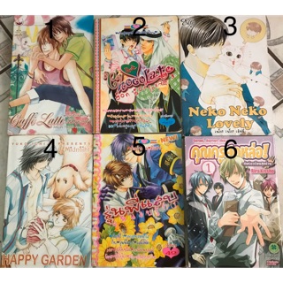 หนังสือการ์ตูนYaoi มือสอง