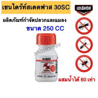 เชนไดร้ท์ ราดพื้น สเตดฟาส 30SC (สูตรน้ำ) ขนาด 250 มิลลิลิตร