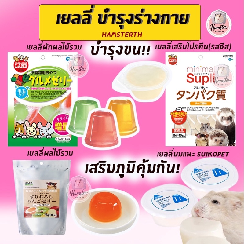 [Hamsterth] เยลลี่ marukan พุดดิ้งนมแพะ Suikopet อาหาร ขนม อาหารเสริม วิตามิน แฮมสเตอร์ เม่นแคระ