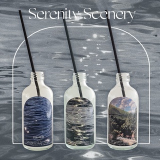 FRANK - แพ็ค3เซ็ทสุดคุ้ม รุ่น Serenity Scenery x 3 (ขวด Clear) เซ็ทก้านหอมกลิ่นอโรมา สไตล์เกาหลี 120ml.ใช้ได้ 5 เดือน