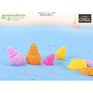 [MC164] ตุ๊กตุ่นจิ๋ว หอยหลากสีสัน 🐚 (1 ตัว ราคา 5, 9 บาท)