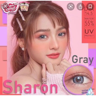 Kitty Kawaii​ คิตตี้ คาวาอิ สีเทา​ -​1.25// คอนแทค​เลนส์​สั้น​ 125 contactlens สายตาสั้น125 สายตาสั้น-1.25