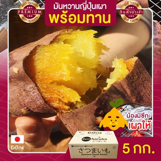 มันหวานญี่ปุ่น 5kg เผา พร้อมทาน นำเข้าจากญี่ปุ่นแท้ 100% เบนิฮารุกะ ปลูกที่ญี่ปุ่น หวาน ฉ่ำ สดใหม่ทุกสัปดาห์ ส่งฟรี