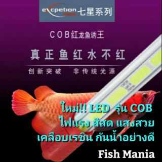 ไฟ LED รุ่น COB ไฟแรง แสงสวย สีสด เคลือบเรซินกันน้ำ ไฟอโลวน่า หมอสี ปลาสวยงามทุกขนิด