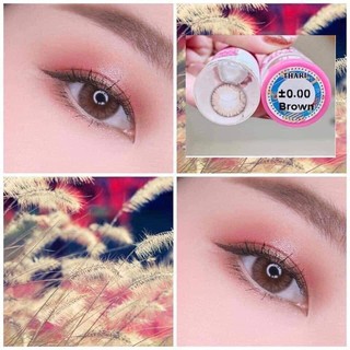 พร้อมส่ง Thari Wink Lens สีเทา / น้ำตาล Mini lens มินิเลนส์ สีเทา แฟชั่น 0.00 สายตาปกติ รายเดือน