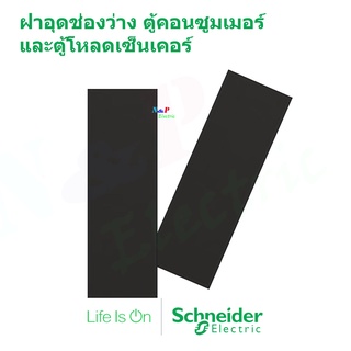 Schneider แผ่นปิดช่องว่าง ขนาด 1 ช่อง ชไนเดอร์ ฝาอุดช่องว่าง ตู้คอนซูมเมอร์ สีดำและสีขาว