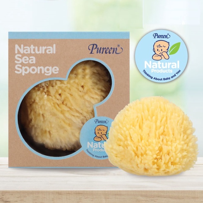 Pureen Natural Sea Sponge ฟองน้ำธรรมชาติ (ไซด์ M/L/XL)
