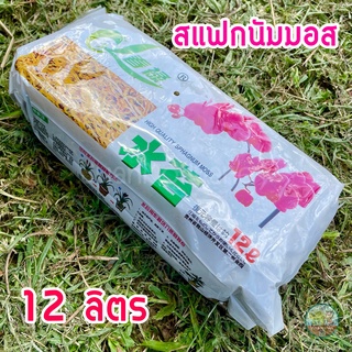 สแฟกนั่มมอส/Sphagnum Moss 12 ลิตร (1 แพ็ค) วัสดุปลูกชั้นดี มีความโปร่งแต่อุ้มน้ำ สำหรับเพาะต้นกล้า บอนสี รากเดินดี