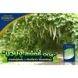 บวบงู สเน็กกี้ 004 เมล็ดพันธุ์คัดพิเศษ 20 ก.ตราเจียไต๋