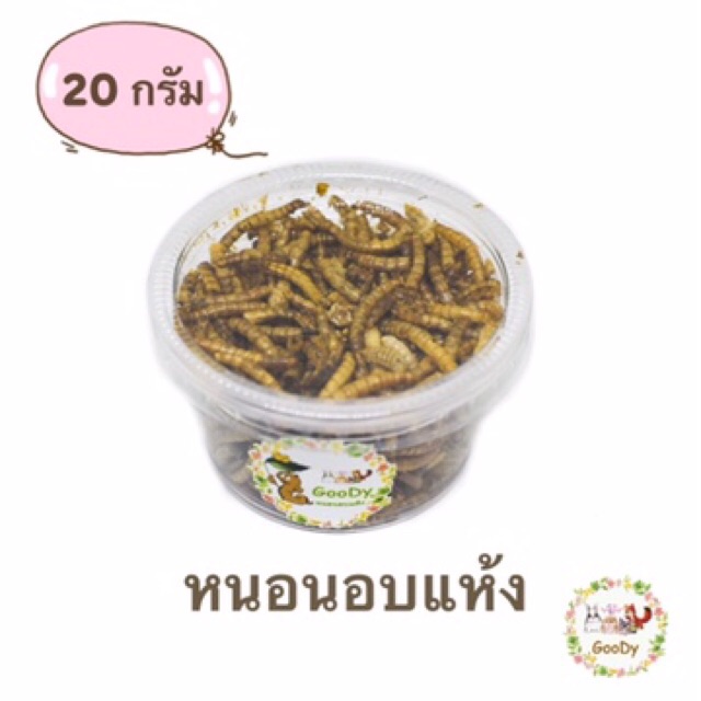 หนอนอบแห้ง แบบกระปุก 20 g. โปรตีนสูง