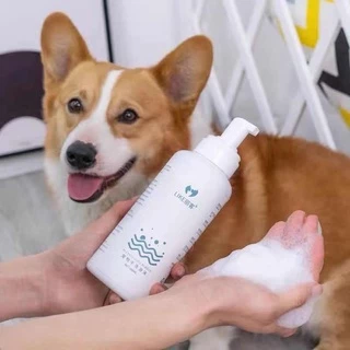 500ML โฟมซักแห้งสัตว์เลี้ยง โฟมอาบน้ำแห้ง โฟมอาบแห้งแมว โฟมอาบแห้งสุนัข สเปรย์อาบน้ำแห้ง แชมพูแมว โฟมซักแห้ง สุนัข แมว