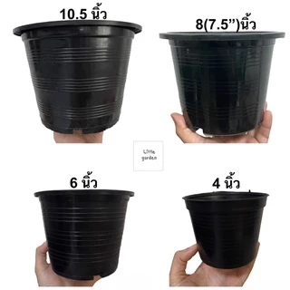 Little กระถาง 8 นิ้ว (วัดจริงกว้าง 7.5 นิ้ว) 50 ใบ (6 นิ้ว 5 นิ้ว 4 นิ้ว 3 นิ้ว)