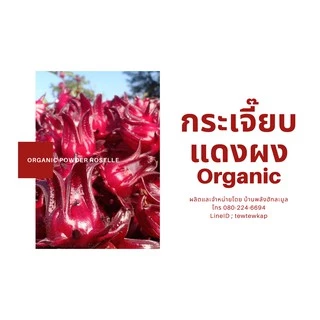 กระเจี๊ยบแดง ผง100% (ออร์แกนิค) 100กรัม ไม่เจือสี ไม่แต่งกลิ่น เปรี้ยว ผงกระเจี๊ยบแท้