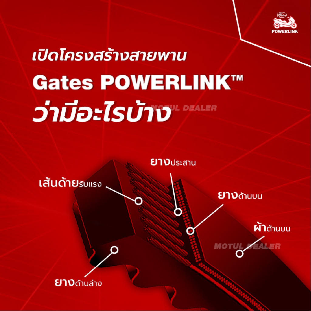 สายพานสกู๊ตเตอร์ JRD QUEST-X, TYPHOON-R, 125 CC.,Lambretta V200 [ SB60036HD ] GATES POWERLINK SCOOTER BELT สายพาน - รูปที่ 2