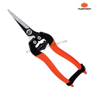 Pumpkin กรรไกรแต่ง/เล็มกิ่งไม้ ปากงอ no. PTT-238 ( Gardening Pruning Shear )