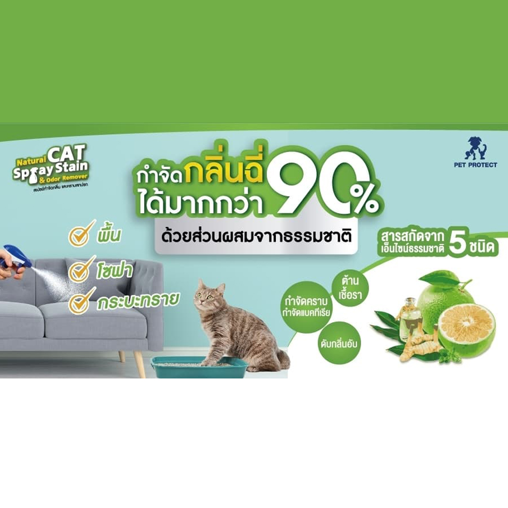 รูปภาพ 4