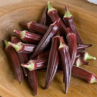 เมล็ดพันธุ์ กระเจี๊ยบ เรดเบอร์กันดี Red Burgundy Okra Seed 30 เมล็ด คุณภาพดี ของแท้ 100%