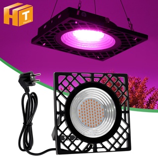 AC220v 500W LED Grow Light Spectrum กันน้ำได้ เต็มรูปแบบ Grow Light Phyto Lamp สำหรับไฟเมล็ด เรือนกระจกในร่ม