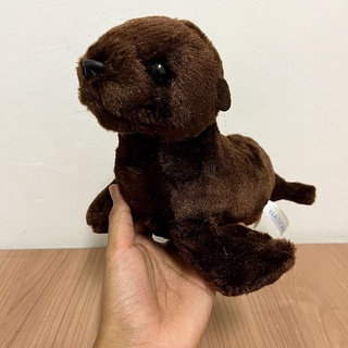 ตุ๊กตาลูกสิงโตทะเล สิงโตทะเล Sea Lion Stuffed Animal ตุ๊กตาสัตว์ขั้วโลก  Arctic Animals แมวน้ำ สัตว์ทะเล ตุ๊กตาสัตว์