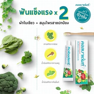 (แพคคู่) Kolbadent น้ำยาบ้วนปากสมุนไพร คอลบาเด้นท์ 500ml ลดกลิ่นปาก และแบคทีเรีย ลมหายใจสดชื่น มั่นใจตลอดวัน