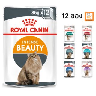 Royal Canin Cat Pouch in Gravy อาหารแมวในน้ำเกรวี่ 12 ซอง Beauty Instinctive Sterlised Hairball Urinary Light Indoor