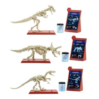 Jurassic World จูราสิค Stem Fossil Strikers  โมเดล ฟอสซิล ไดโนเสาร์ FTF03