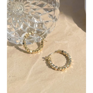 shiny hoop earrings (s925)