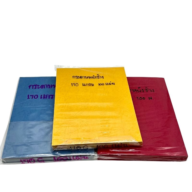 กระดาษหนังช้างนอก 170 แกรมA4 (100แผ่น/ห่อ)